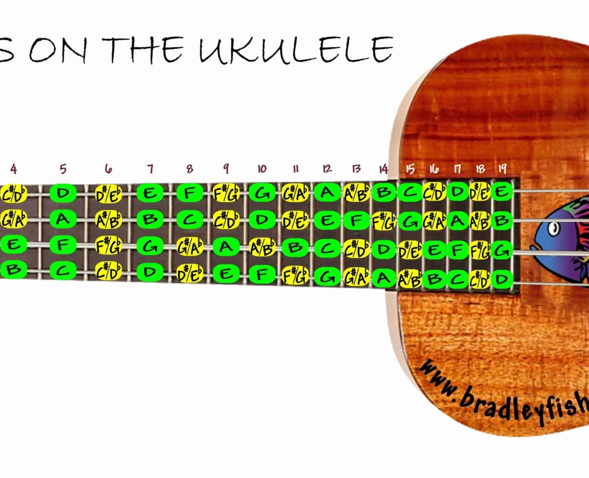 The Notes on The Ukulele